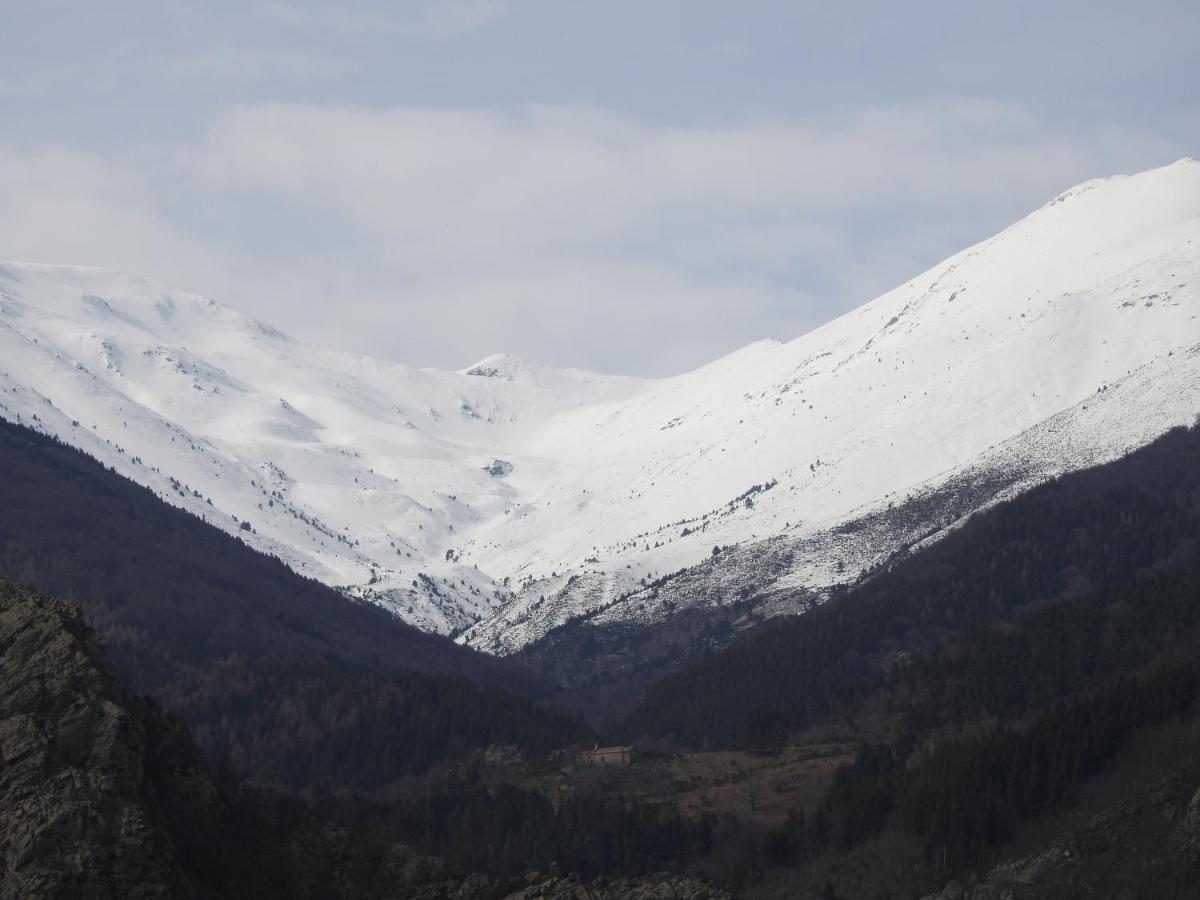 Location Mas Avec Piscine Haut Vallespir Le Tech Eksteriør billede