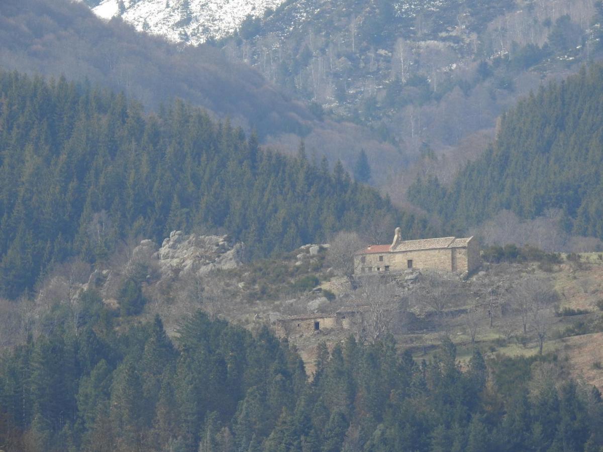 Location Mas Avec Piscine Haut Vallespir Le Tech Eksteriør billede